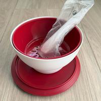 Tupperware Reverso Allegra completo di pinze