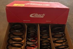 Molle Eibach Ford Fiesta