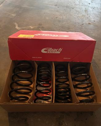 Molle Eibach Ford Fiesta