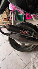 Marmitta Minarelli orizzontale, Giannelli shot v4