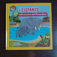 L' elefante nella savana del Mozambico 