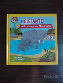 L' elefante nella savana del Mozambico 