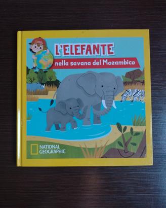 L' elefante nella savana del Mozambico 