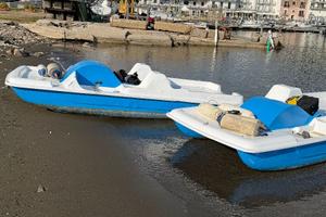 n°2 Pedalò perfettamente funzionanti