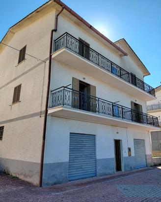 Grande villa già suddivisa in due appartamenti