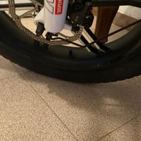 Bici elettrica