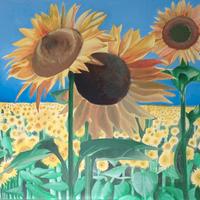 girasoli -olio su tela senza cornice - 80x90 cm. 