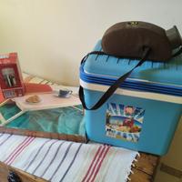 Borsa frigo rigida