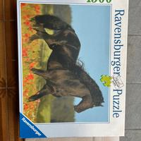 Quadro 1500 pezzi cavallo