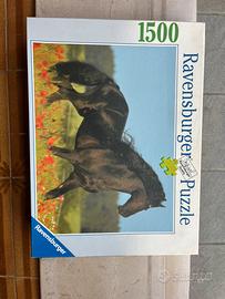 Quadro 1500 pezzi cavallo