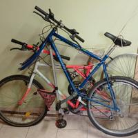 2 biciclette