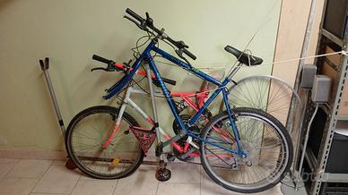 2 biciclette
