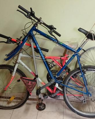 2 biciclette