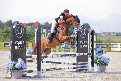 Cavallo da salto ostacoli