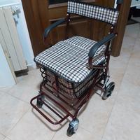 Carrello spesa trolley 