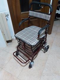 Carrello spesa trolley 