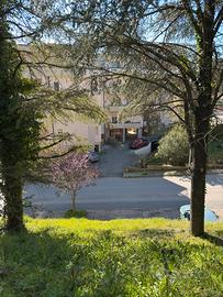 Appartamento nel cuore del Vulture