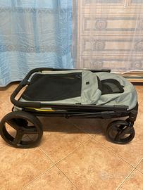 Passeggino cane