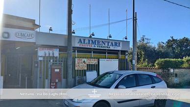 Immobile di 100 m² con 2 locali a Nettuno