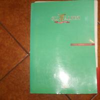Alpini - Schede Uniformologiche