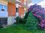 Immagine 25