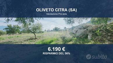 Immobile in asta di 6948 m² a Oliveto Citra