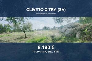 Immobile in asta di 6948 m² a Oliveto Citra