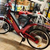 Bici elettrica pedalata assistita