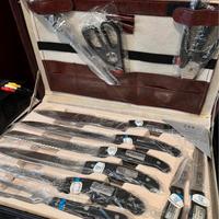 Set Coltelli Professionali da Chef