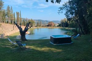 Pet Friendly Toscana con biopiscina per cani