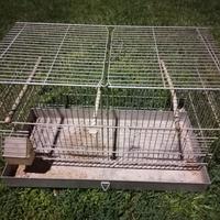 gabbia gabbietta per uccelli 