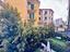 Immagine 8