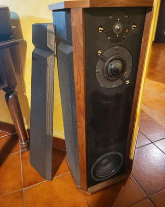 CASSE ACUSTICHE ALLISON TWO