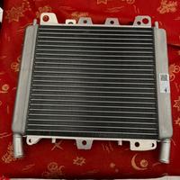 Radiatore piaggio