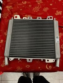 Radiatore piaggio