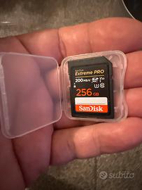 Sandisk sd card