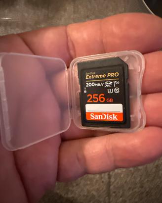 Sandisk sd card