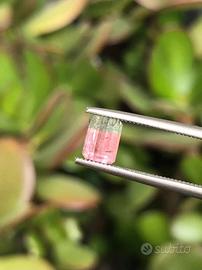 Tormalina watermelon naturale 0.96 ct