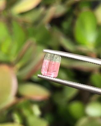 Tormalina watermelon naturale 0.96 ct