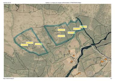 Terreno agricolo con bosco - circa 8 ettari