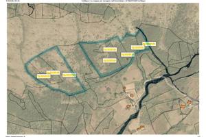 Terreno agricolo con bosco - circa 8 ettari