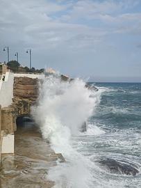 Aiutocuoco/lavapiatti con esperienza