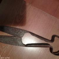 Forbice da pastore da collezione.