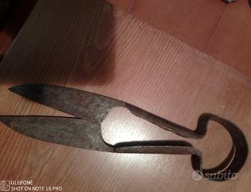 Forbice da pastore da collezione.