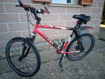 MTB lee cougan