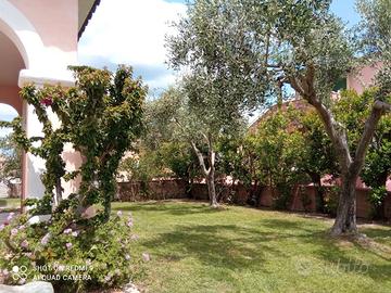 Villetta san Teodoro Sardegna dal 22 luglio