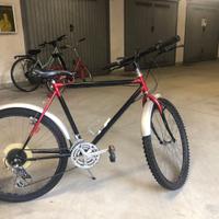 Bici bike e pieghevole