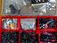Immagine 6