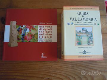 VAL CAMONICA e UNA TERRA DI VIGNETI 2 vol