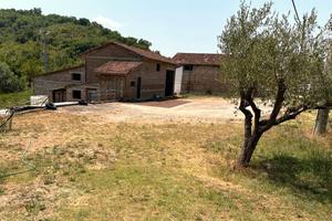 Alviano: terreno 10.000mq, uliveto, 3 magazzini C2